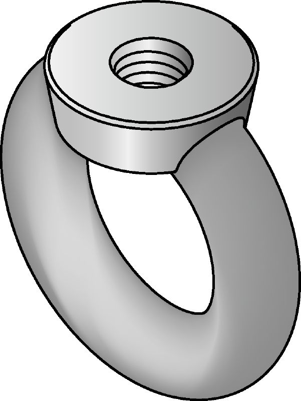 Prstenasta matica od nehrđajućeg čelika (A4) DIN 582 Prstenasta matica od nehrđajućeg čelika (A4) u skladu s DIN 582 s petljastim glavama za prihvat kuke