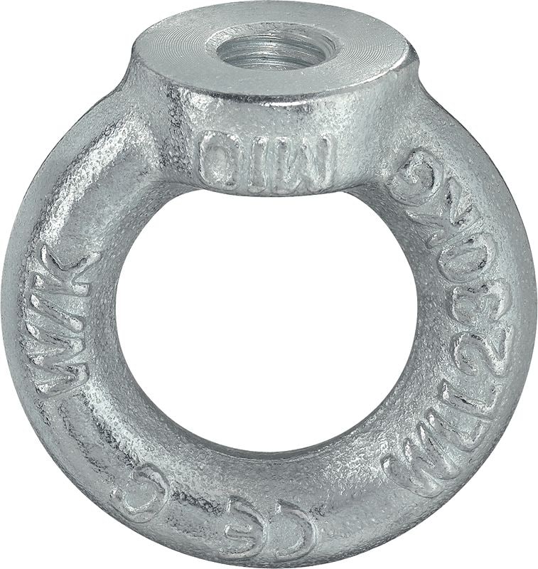 Prstenasta matica od nehrđajućeg čelika (A4) DIN 582 Prstenasta matica od nehrđajućeg čelika (A4) u skladu s DIN 582 s petljastim glavama za prihvat kuke